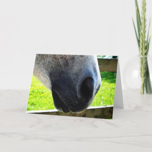 Neusklus Kaart (Voorkant)