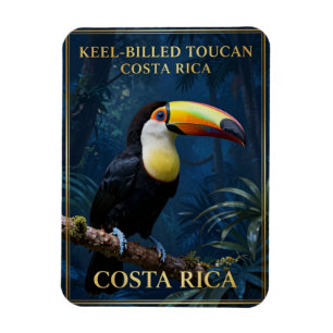 Neuspechttoekan Costa Rica Wilde Dieren Magneet