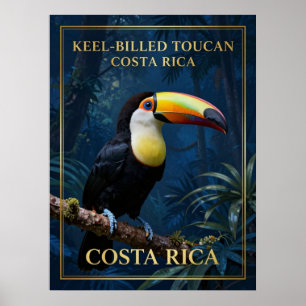 Neuspegeltoekan Costa Rica Wilde Dieren Poster