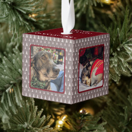 Neutraal Kerstboom 4 Foto Hond Kerstmis Decoratie