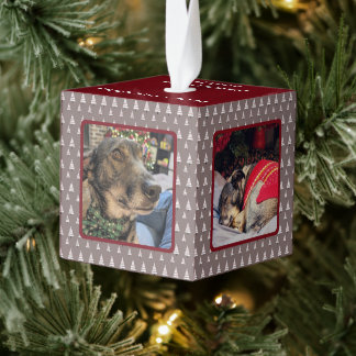Neutraal Kerstboom 4 Foto Hond Kerstmis Decoratie