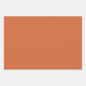 Neutrale aardse tinten inpakpapier vel (Voorkant 2)