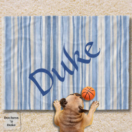 Neutrale gestreepte patroon blauwe beige huisdierd fleece deken