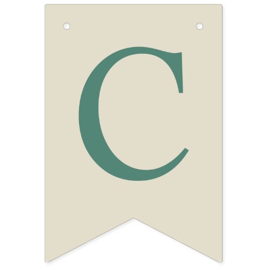 Neutrale Klasse van 2021 Afstuderen Fotosjabloon Vlaggetjes (Tweede vlag)