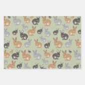 Neutrale kleuren van het Cute Rabbit Pattern-patro Inpakpapier Vel (Voorkant 3)