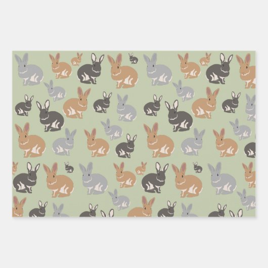Neutrale kleuren van het Cute Rabbit Pattern-patro Inpakpapier Vel (Voorkant)