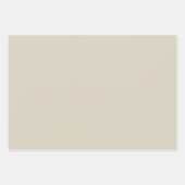 Neutrale papierset voor kleurenpalet met overvulli inpakpapier vel (Voorkant 2)