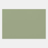 Neutrale roze zilveren groene pasteltinten inpakpapier vel (Voorkant 3)