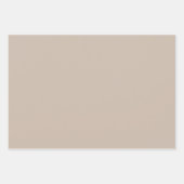 Neutrale roze zilveren groene pasteltinten inpakpapier vel (Voorkant 2)