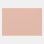 Neutrale roze zilveren groene pasteltinten inpakpapier vel (Voorkant)