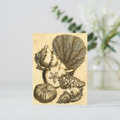 Neutrale schalen en koraal Collectie Briefkaart (Staand voorkant)