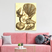 Neutrale schalen en koraal Collectie Canvas Afdruk (Insitu (Woonkamer))