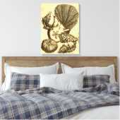 Neutrale schalen en koraal Collectie Canvas Afdruk (Insitu (Slaapkamer))