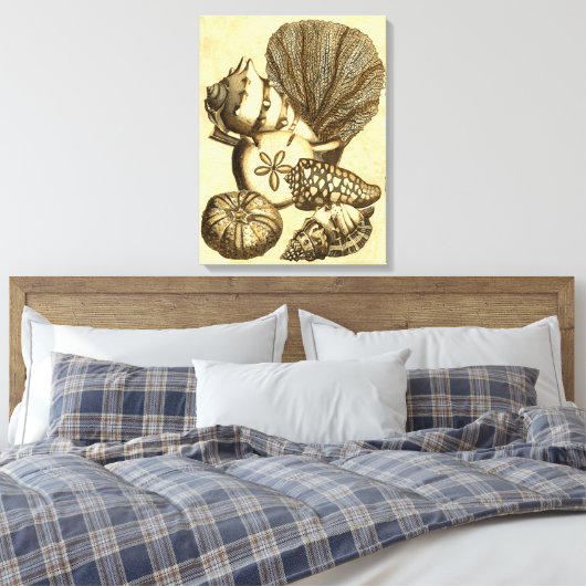 Neutrale schalen en koraal Collectie Canvas Afdruk (Insitu (Slaapkamer))