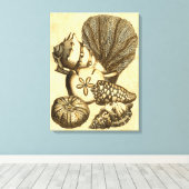 Neutrale schalen en koraal Collectie Canvas Afdruk (Insitu (Houten vloer))