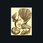 Neutrale schalen en koraal Collectie Canvas Afdruk<br><div class="desc">Ga onderwater het zee verkennen met al deze verschillende zeeen wezens. Dit  kunstwerk is een perfecte aanvulling op alle zee-anemonliefhebbers. Haal vandaag nog uw kunst af op uw product.</div>