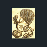 Neutrale schalen en koraal Collectie Canvas Afdruk<br><div class="desc">Ga onderwater het zee verkennen met al deze verschillende zeeen wezens. Dit  kunstwerk is een perfecte aanvulling op alle zee-anemonliefhebbers. Haal vandaag nog uw kunst af op uw product.</div>