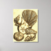 Neutrale schalen en koraal Collectie Canvas Afdruk (Voorkant)