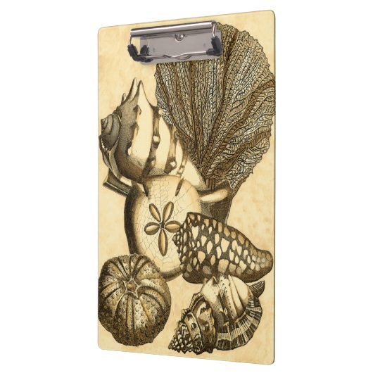 Neutrale schalen en koraal Collectie Klembord (Links)