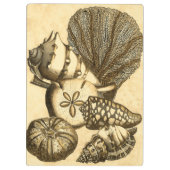 Neutrale schalen en koraal Collectie Klembord (Achterkant)