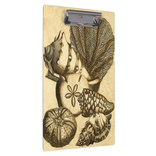 Neutrale schalen en koraal Collectie Klembord (Rechts)