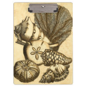 Neutrale schalen en koraal Collectie Klembord (Voorkant)