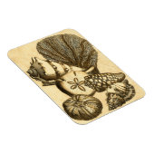 Neutrale schalen en koraal Collectie Magneet (Rechterzijde)