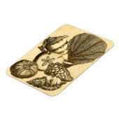 Neutrale schalen en koraal Collectie Magneet (Linkerzijde)