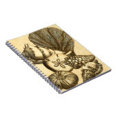 Neutrale schalen en koraal Collectie Notitieboek (Rechterzijde)