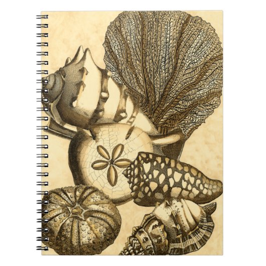 Neutrale schalen en koraal Collectie Notitieboek (Voorkant)