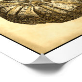 Neutrale schalen en koraal Collectie Poster (Hoek)