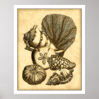 Neutrale schalen en koraal Collectie