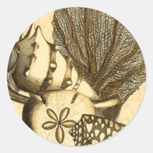 Neutrale schalen en koraal Collectie Ronde Sticker