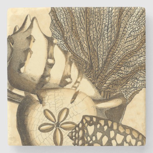 Neutrale schalen en koraal Collectie Stenen Onderzetter (Voorkant)