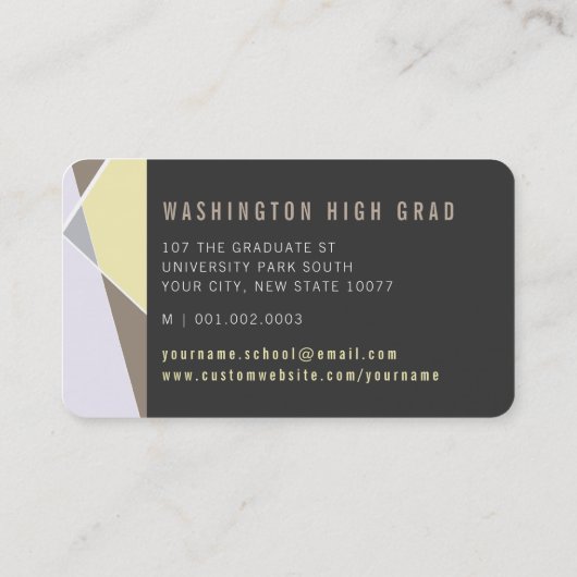 Neutrale Stijlvolle Geometrische Lijnen Mod Foto A Contactkaartje (Achterkant)