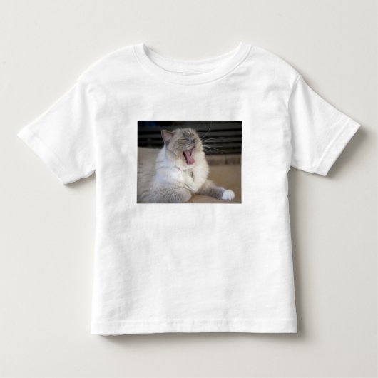 Neva Masquerade cat yawning Kinder Shirts (Voorkant)