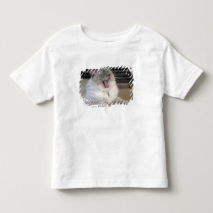 Neva Masquerade kat gaapt Kinder Shirts