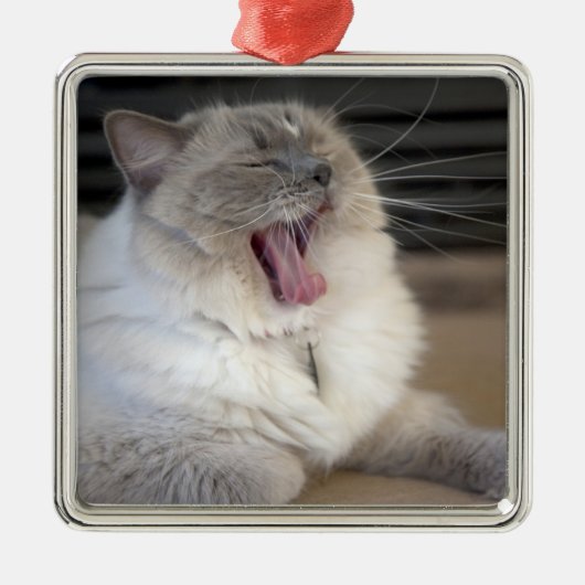 Neva Masquerade kat gaapt Metalen Ornament (Voorkant)