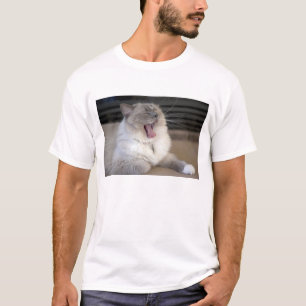 Neva Masquerade kat gaapt T-shirt