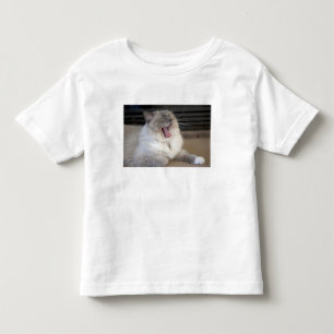 Neva Masquerade kat gapend Kinder Shirts