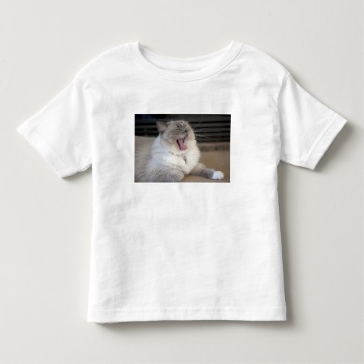 Neva Masquerade kat gapend Kinder Shirts (Voorkant)