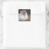 Neva Masquerade kat gapend Vierkante Sticker (Tas)