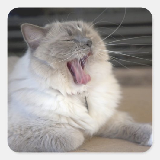 Neva Masquerade kat gapend Vierkante Sticker (Voorkant)