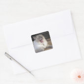 Neva Masquerade kat gapend Vierkante Sticker (Envelop)