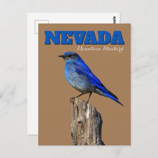 Nevada Bluebird Vertical Briefkaart (Voorkant / Achterkant)