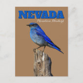 Nevada Bluebird Vertical Briefkaart (Voorkant)