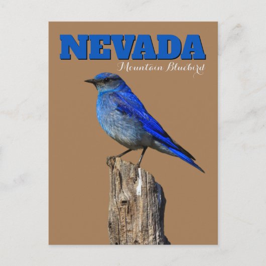 Nevada Bluebird Vertical Briefkaart (Voorkant)