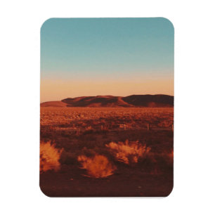 Nevada Desert Magneet