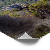 Nevada en Vernal Herfsten (Poster) Poster (Hoek)