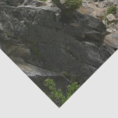 Nevada Falls in Yosemite National Park Tissuepapier (Detail)